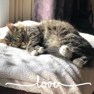 Meet your Posher, Carol